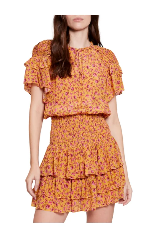 Women's Clothes Limited-Time Offer Gilner Farrar Zoe Dress In Ditsy Rose Floral